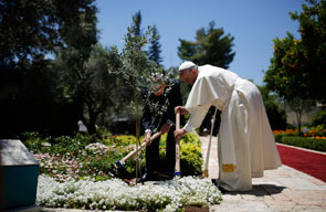 planting olive tree_jerusalem